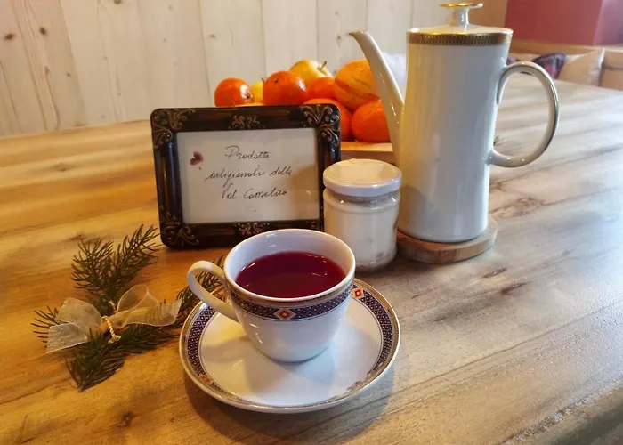 住宿加早餐酒店 Campitello 13 Di Caterina Costan San Nicolo di Comelico